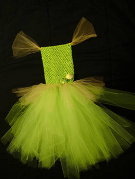 Princess and the frog Tiana tutu