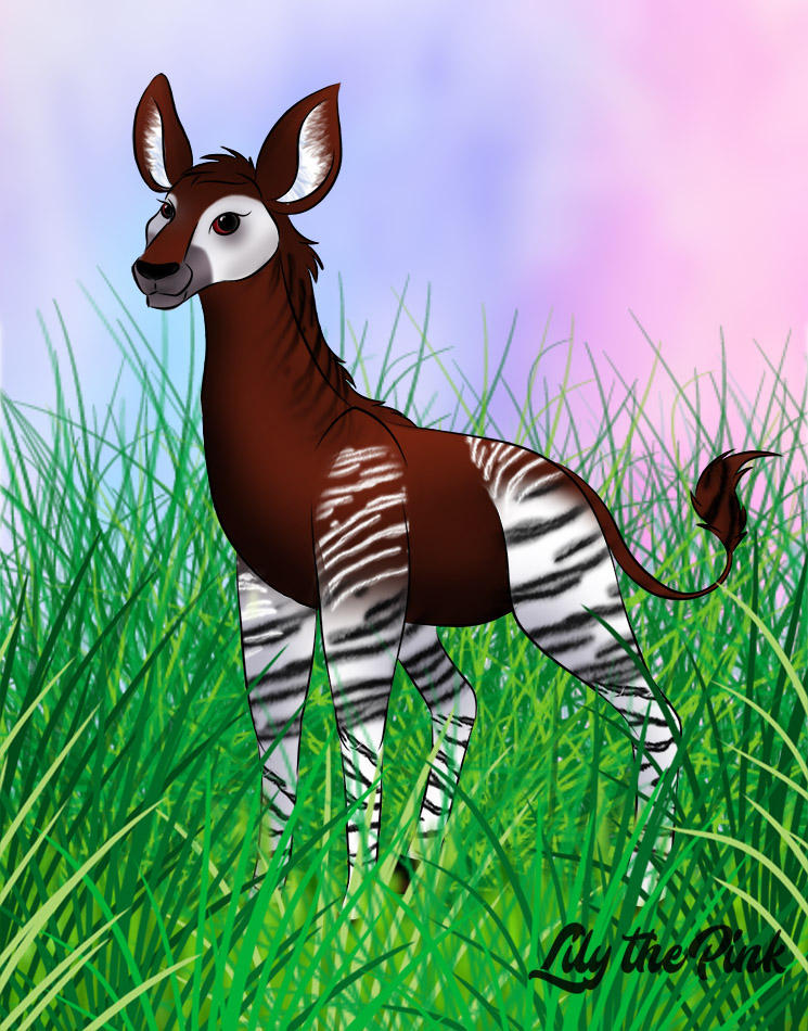Okapi September 2022 by Lily-the-pink on DeviantArt