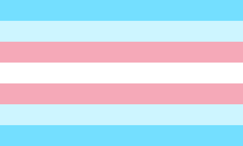 Alternative Trans Man Pride Flag