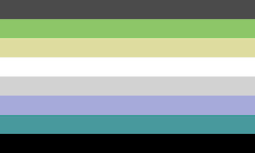Gender Agnostic Pride Flag