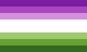 Qingender Pride Flag