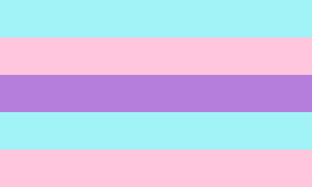 Detrans Non-Binary Pride Flag