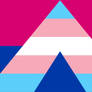 Trans Ally Pride Flag