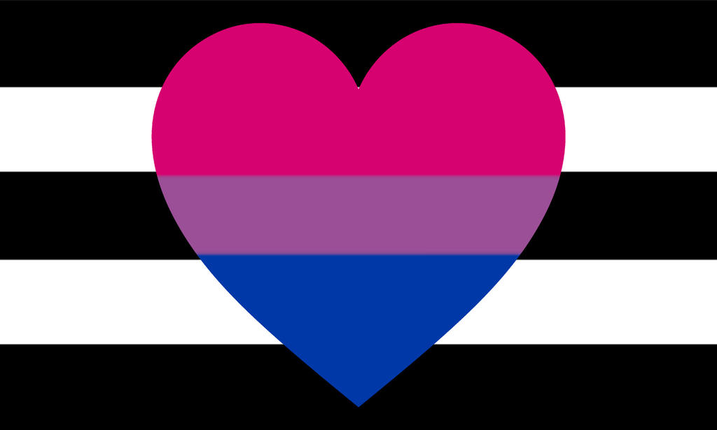 Biromantic Heterosexual Pride Flag By Jfifles On DeviantArt biromantic-heterosexual-pride-flag-by-jfifles-on-deviantart