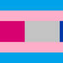 Trans-passing Pride Flag