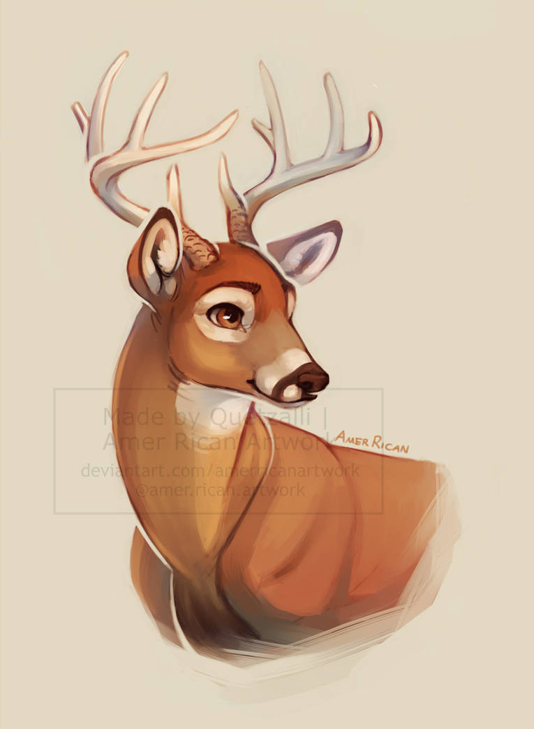 Whitetail Buck Portrait by AmerRicanArtwork on DeviantArt