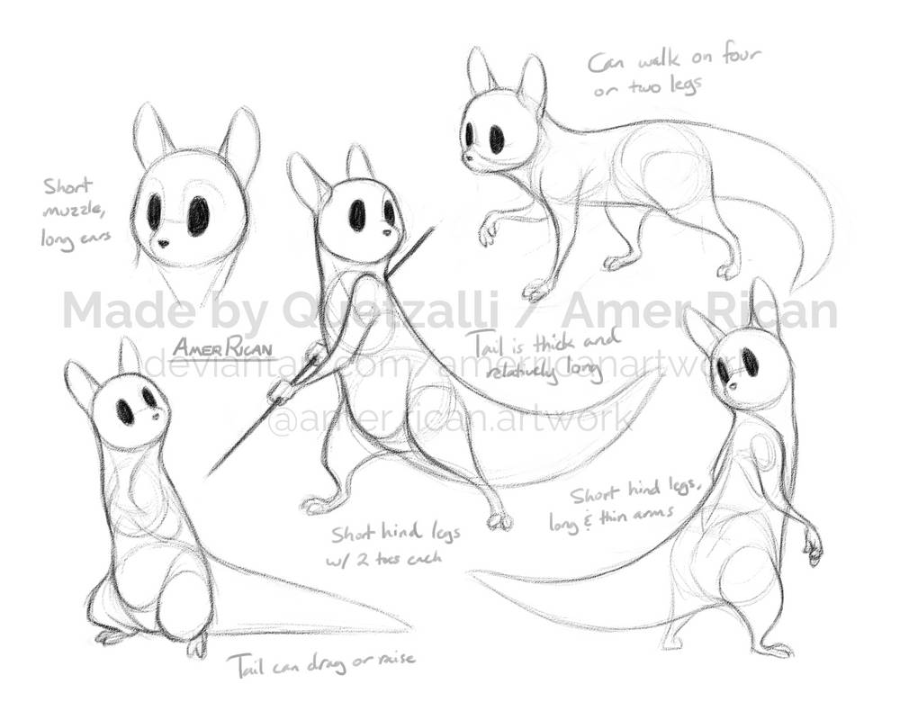 Some slugcat practice doodles by AmerRicanArtwork on DeviantArt