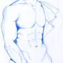 Torso study