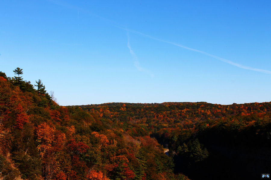 Letchworth State Park Series #15