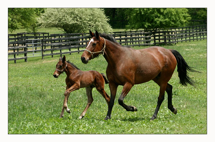 Meghan and Colt