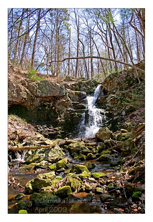 Nearby Waterfall