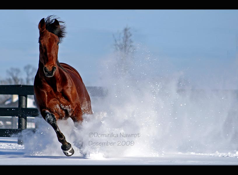 Snow Charge