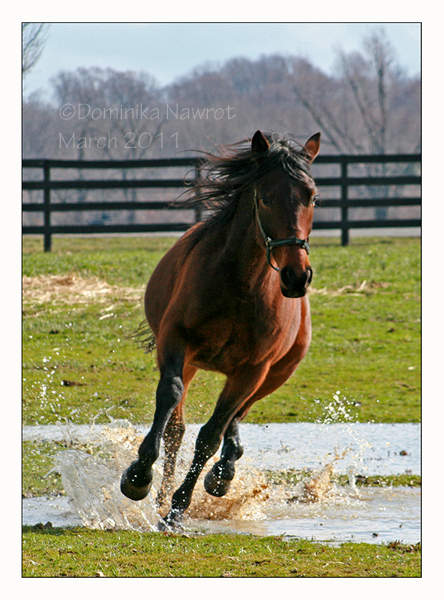 Charging into Spring