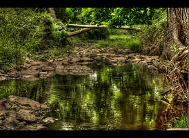 Amwell HDR