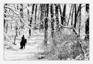 Walking in a Winter Wonderland