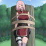 Tied Thursday - Sakura Haruno