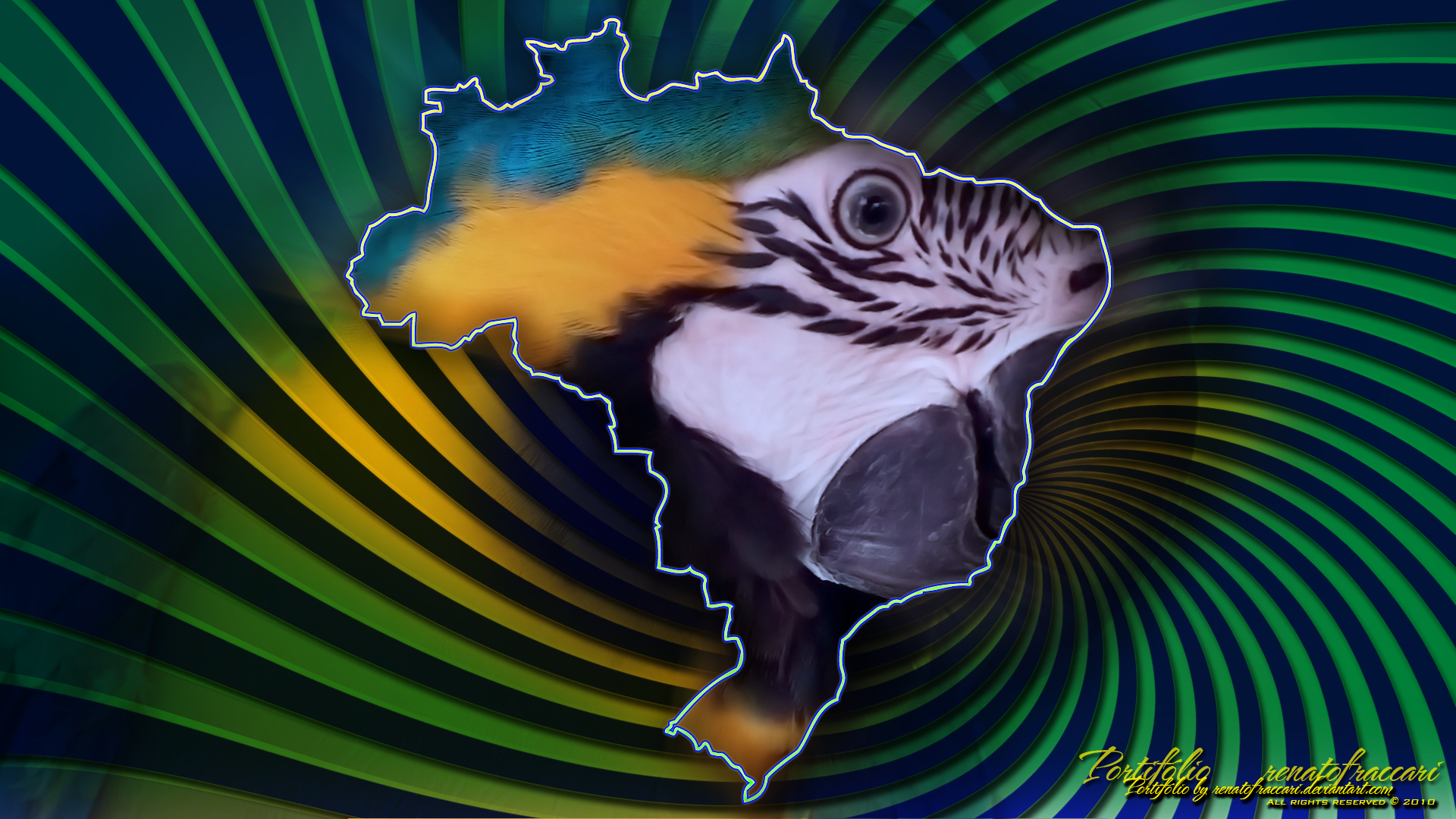 Arara Brasil Wallpaper