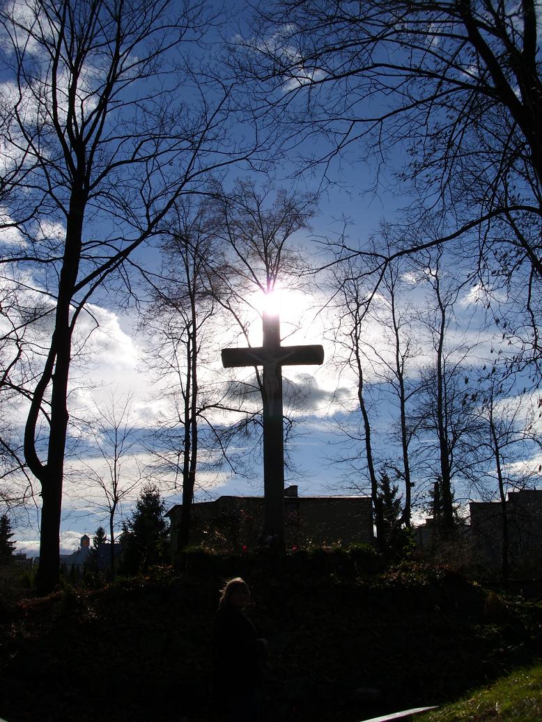 The Cross