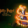 Harry and Dumbledore HBP
