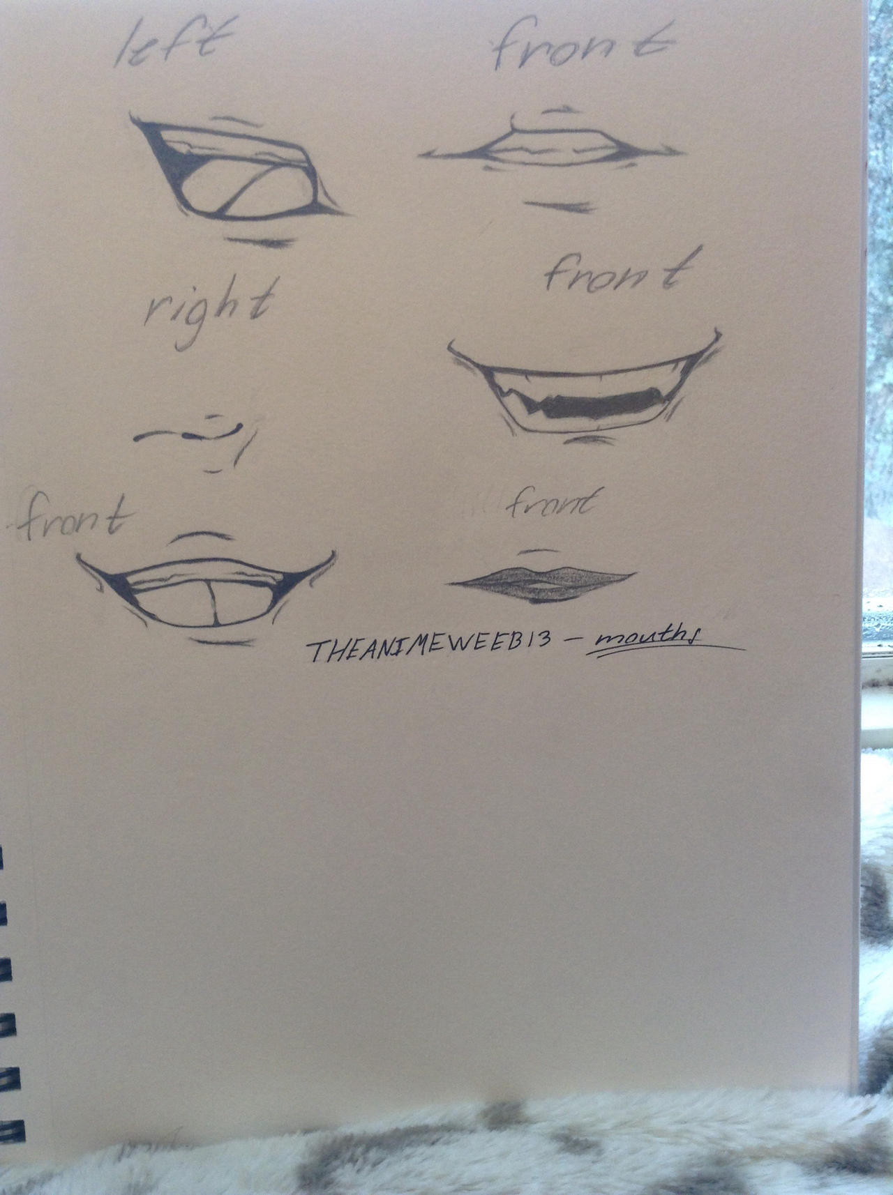 Types of mouths I draw by THEANIMEWEEB13 on DeviantArt