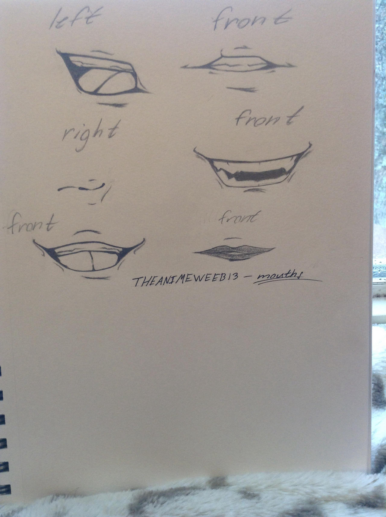 Types of mouths I draw by THEANIMEWEEB13 on DeviantArt Types of mouths I draw by THEANIMEWEEB13 on DeviantArt