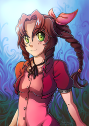 Aerith 2013