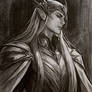 Kaelith Vaerenth - The commander (OC)