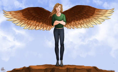 Maximum Ride