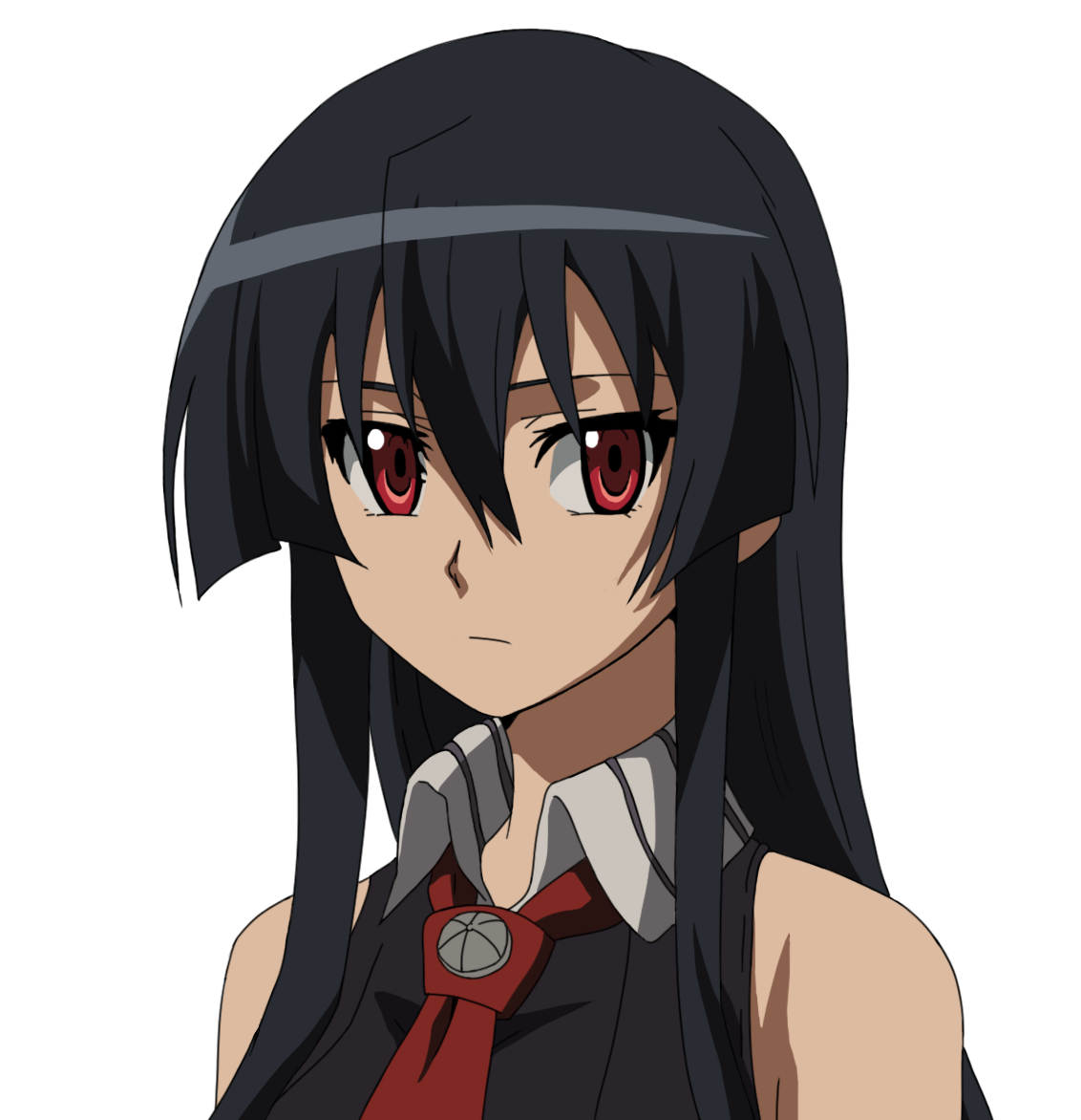 Akame, Character Profile Wikia