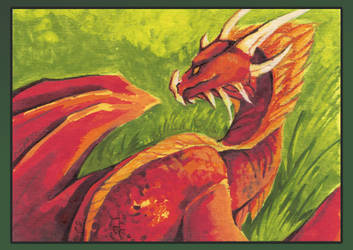 ACEO 61