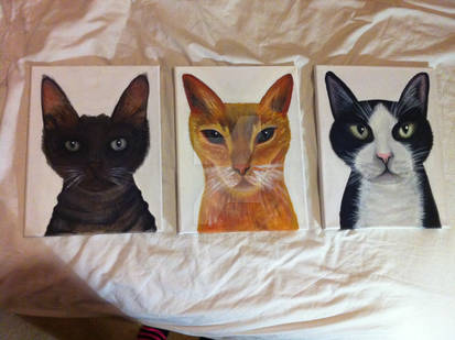 'Ryan's Cats' - Acrylic Paintings - (Feb 2012)