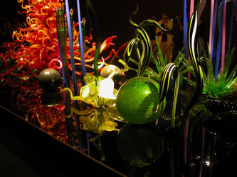 Chihuly37