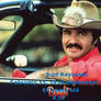 In Loving Memory Of Burt Reynolds