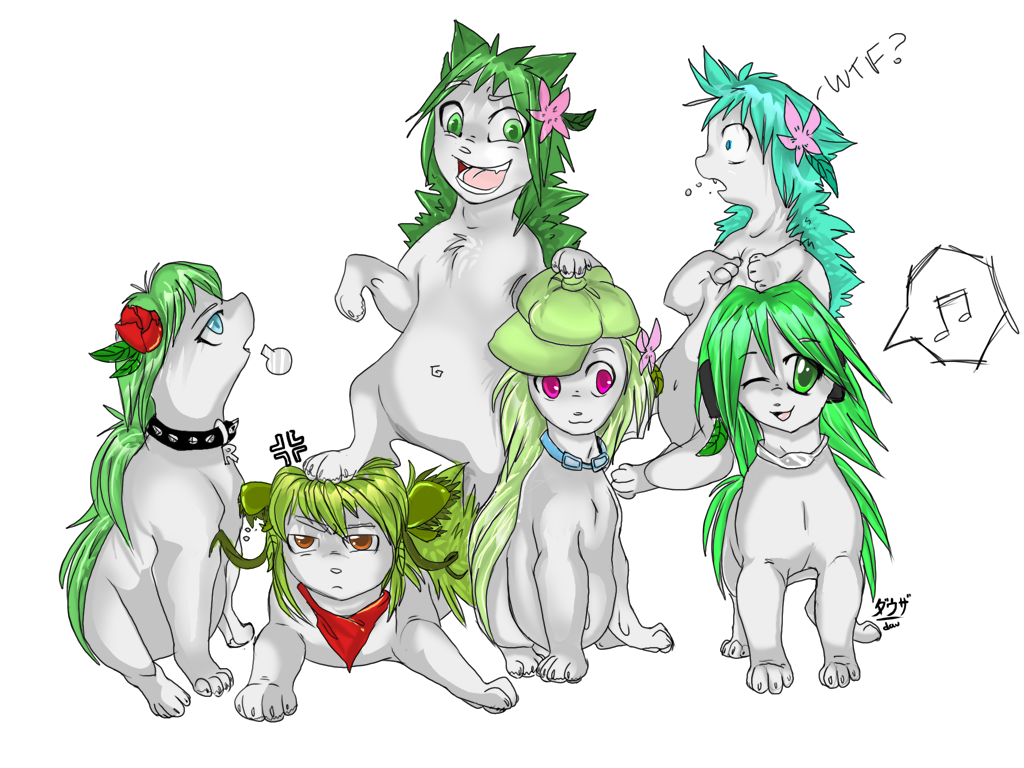 Maito's shaymins