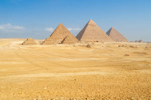 Stock 565 Pyramides