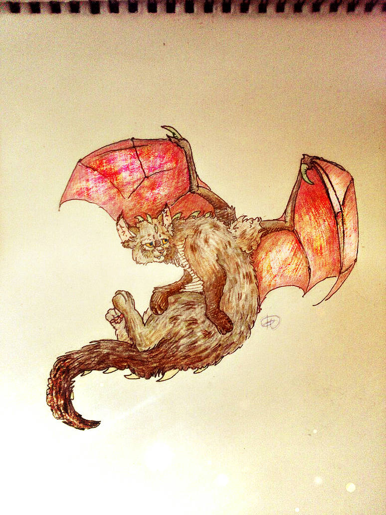 winged cat by Timka-Mur on DeviantArt