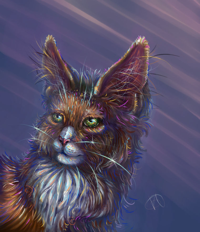 rainbow by Timka-Mur on DeviantArt