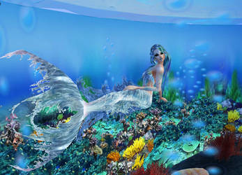 New sense bonus pic - mermaid 3