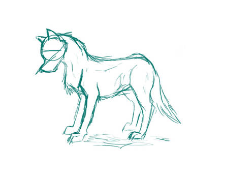 Wolf Sketch