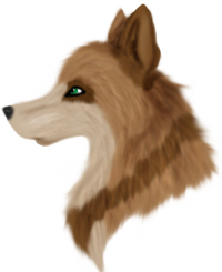 Unknown wolf