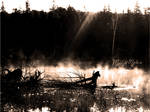 Misty Lake by MoonlightMysteria