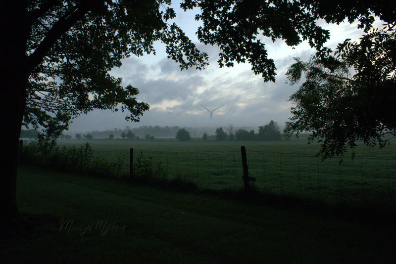 Misty Morning on the Countryside