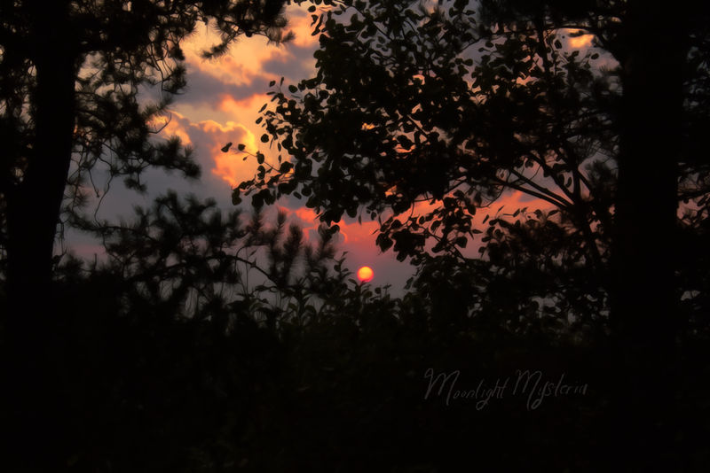 Stormy Sunset Silhouette