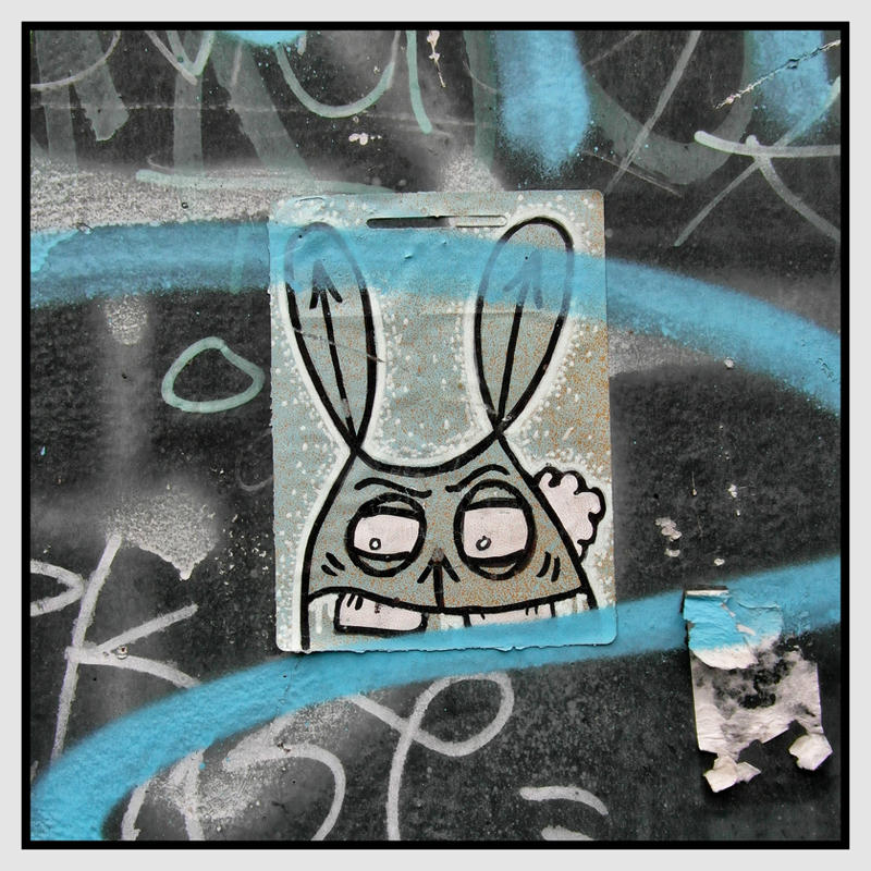 Angry Rabbit by kyberhai on DeviantArt