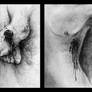 Wounds Triptych