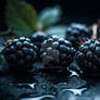 Blackberries