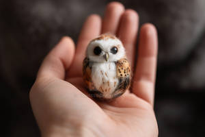 Felted Owl