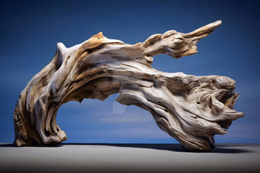 Driftwood Art 02