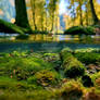 Between Two Worlds