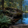 Serene Forest Mirror, 11:3 aspect ratio